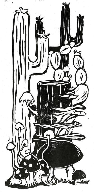 Cacti and Mushrooms, 2024